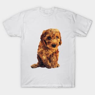 Cockapoo Labradoodle Goldendoodle Doodle Cavoodle Poodle Puppy Dog T-Shirt